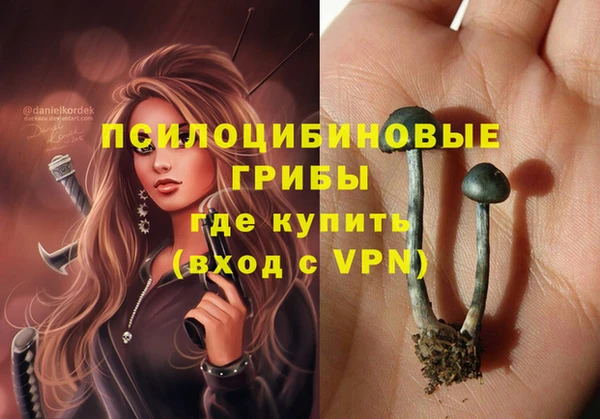 мяу мяу кристалл Ладушкин
