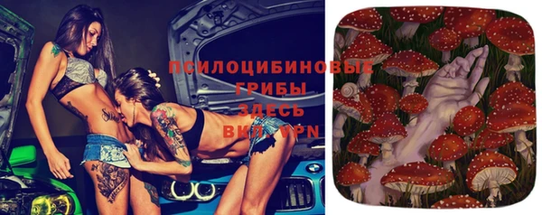 МДПВ Лагань