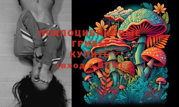 ГАЛЛЮЦИНОГЕННЫЕ ГРИБЫ Лабытнанги