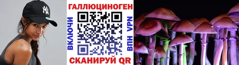 Псилоцибиновые грибы Psilocybe  Купить закладки  Уяр 